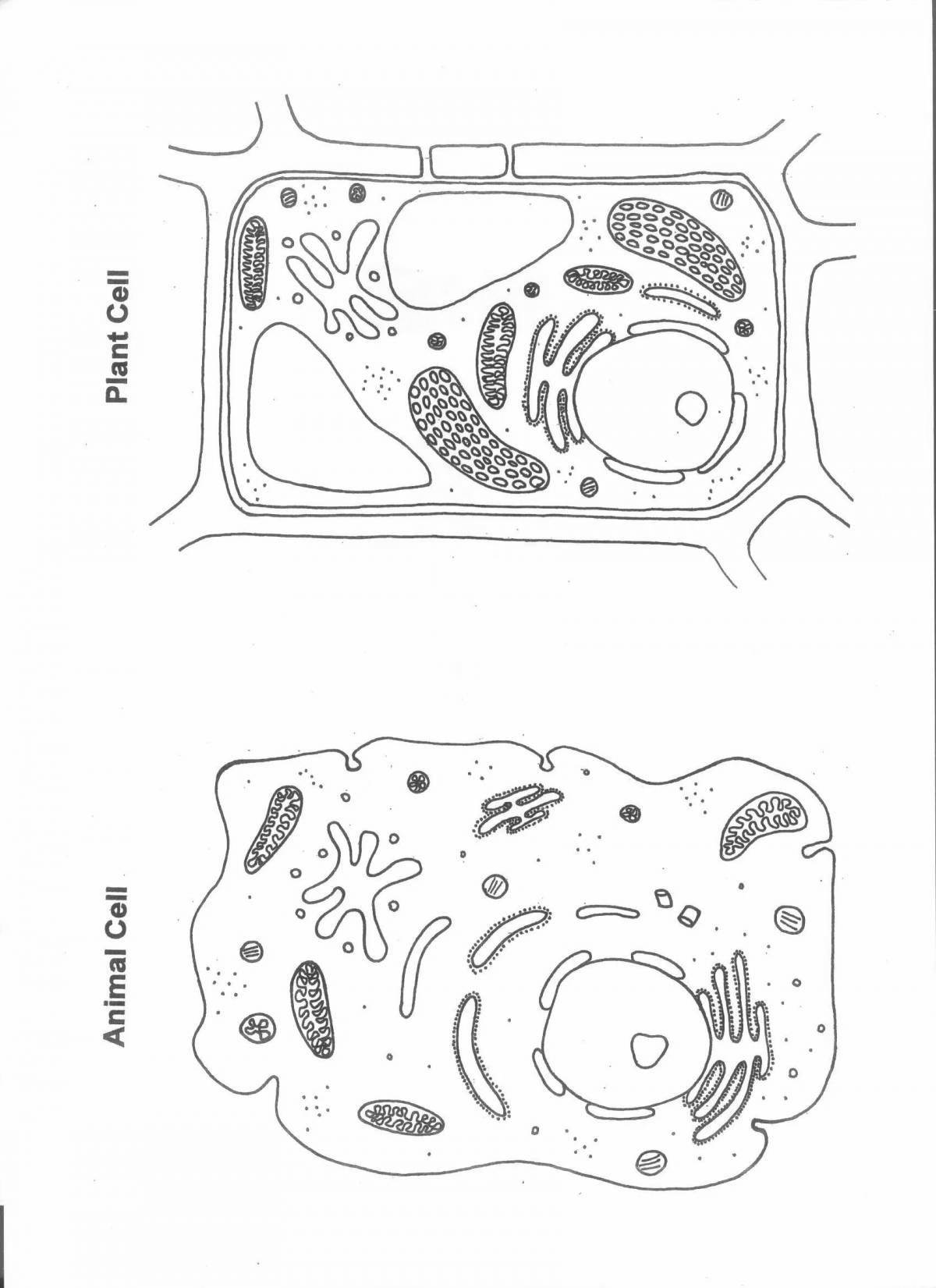 Страница раскраски клеток растений