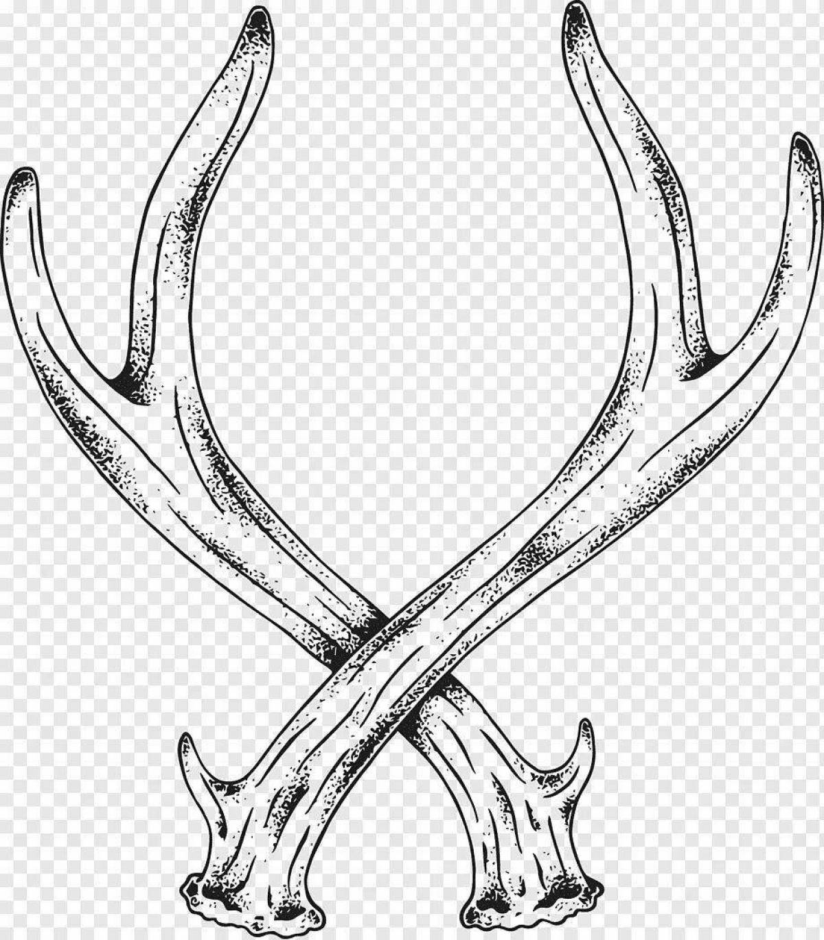 Coloring majestic horns