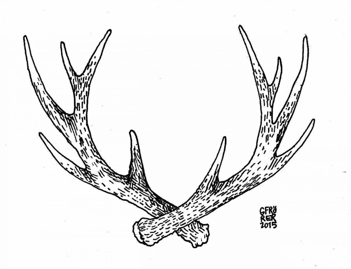 Gorgeous antlers coloring book