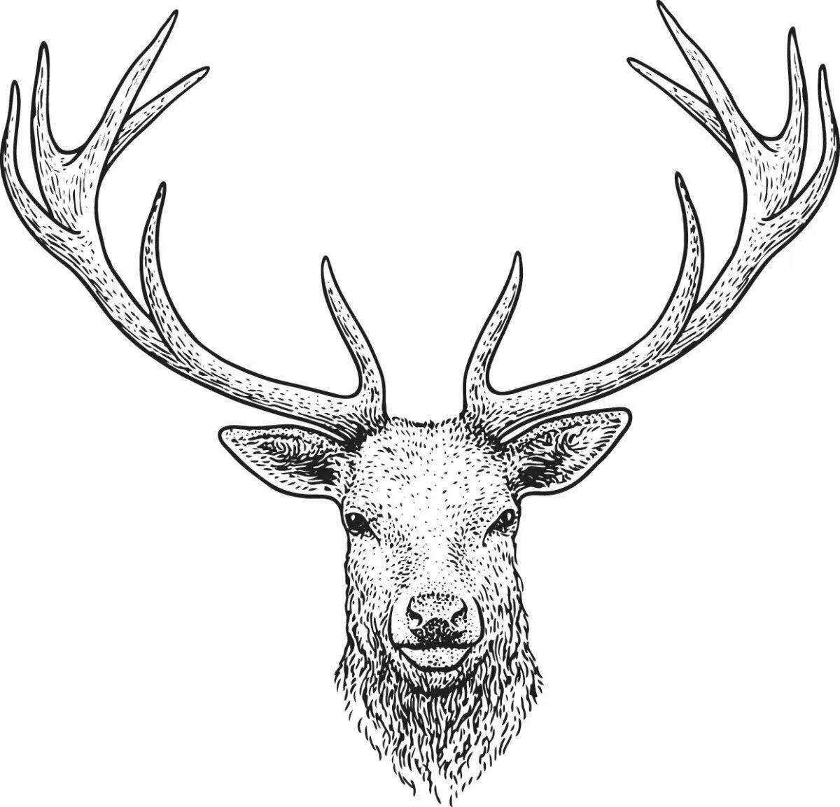 Decorative horns coloring page