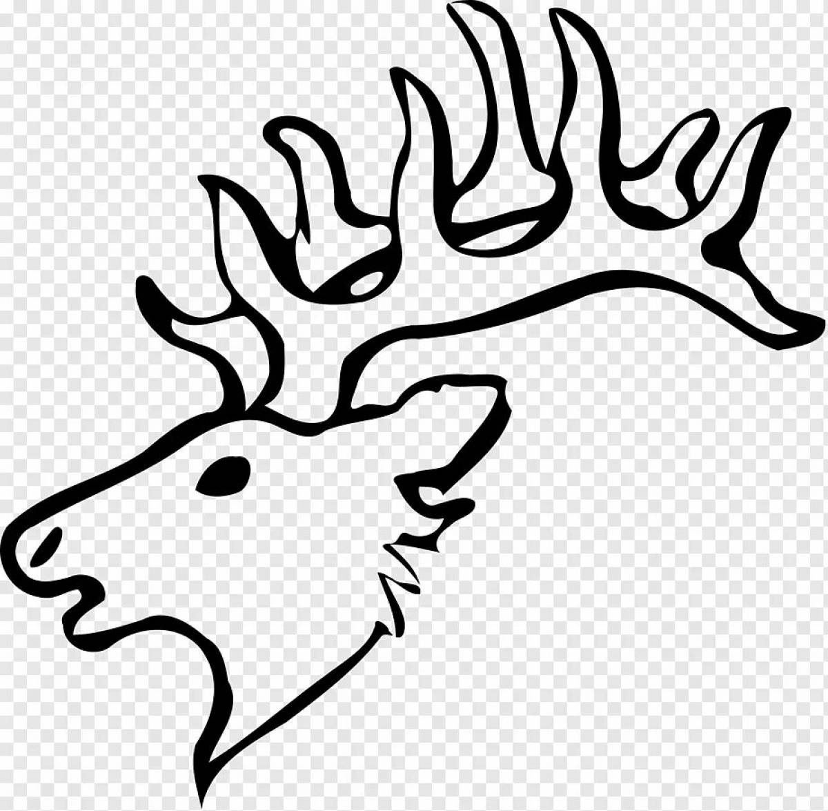 Deer antler #3