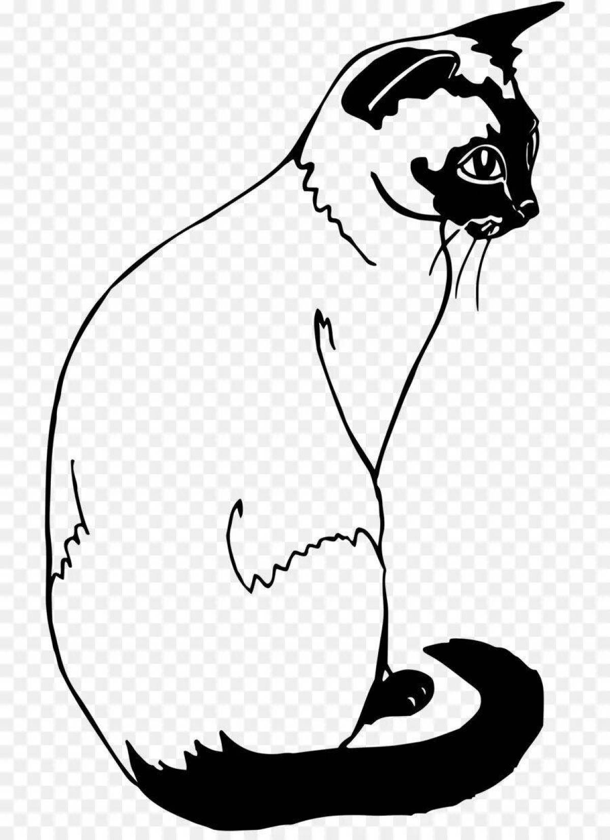 Cunning Siamese cat coloring page