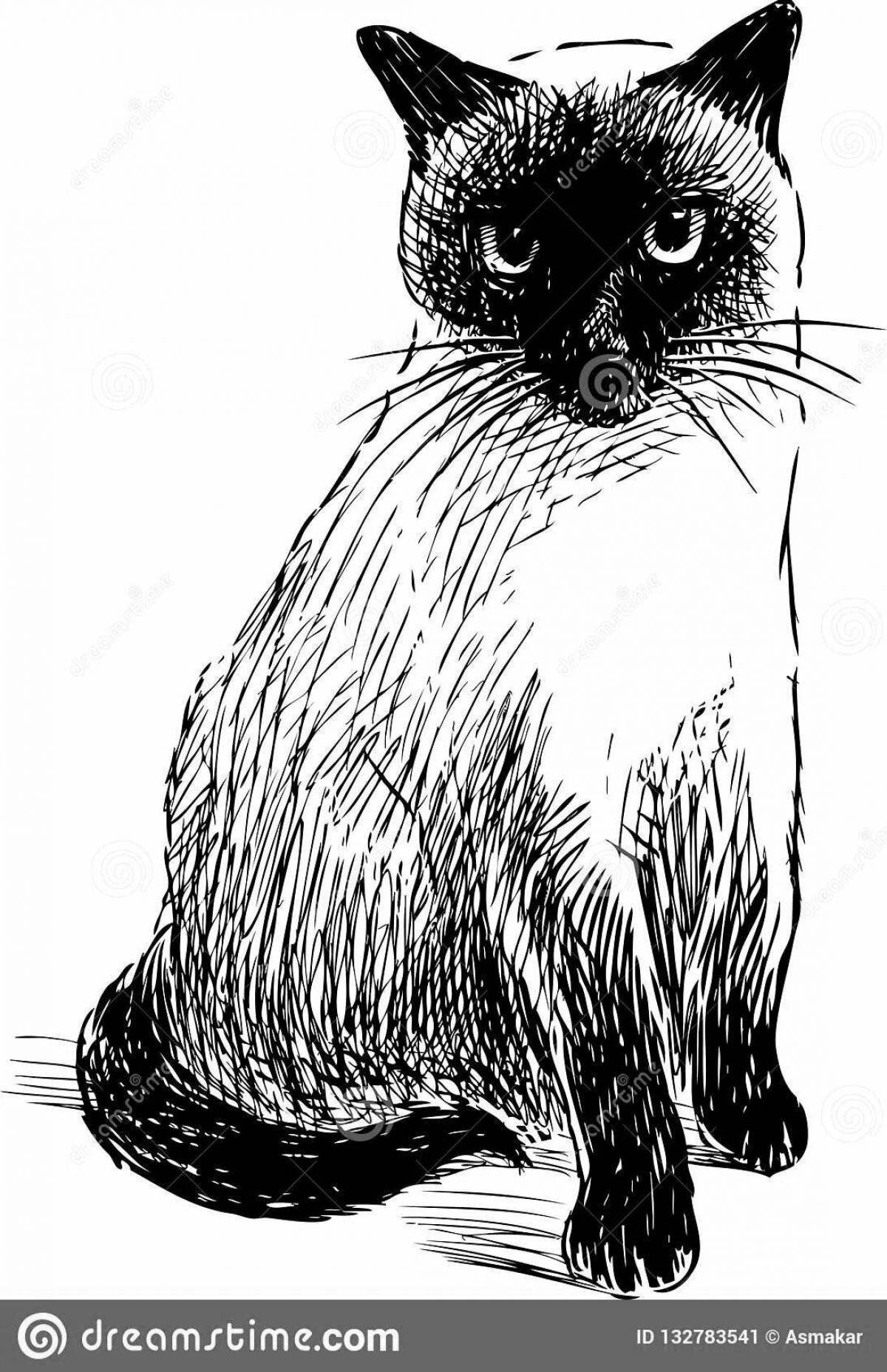 Naughty Siamese cat coloring page