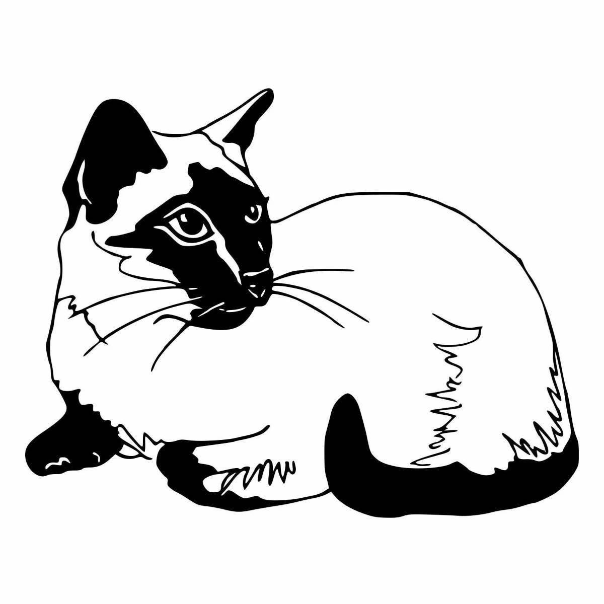 Восхитительная страница раскраски сиамской кошки