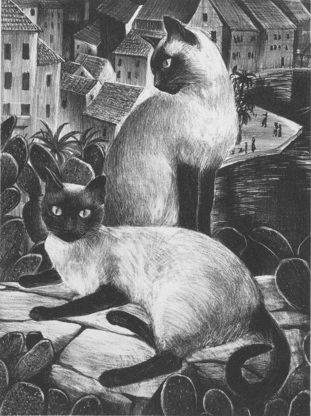 Adorable Siamese cat coloring book