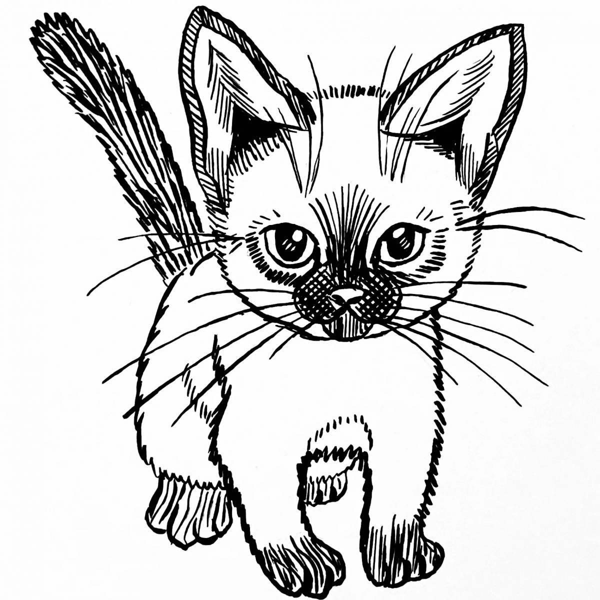 Раскраска изящная сиамская кошка