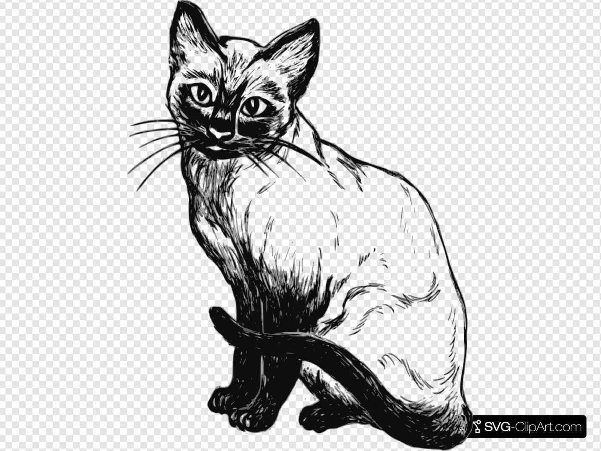 Поразительная страница раскраски сиамской кошки