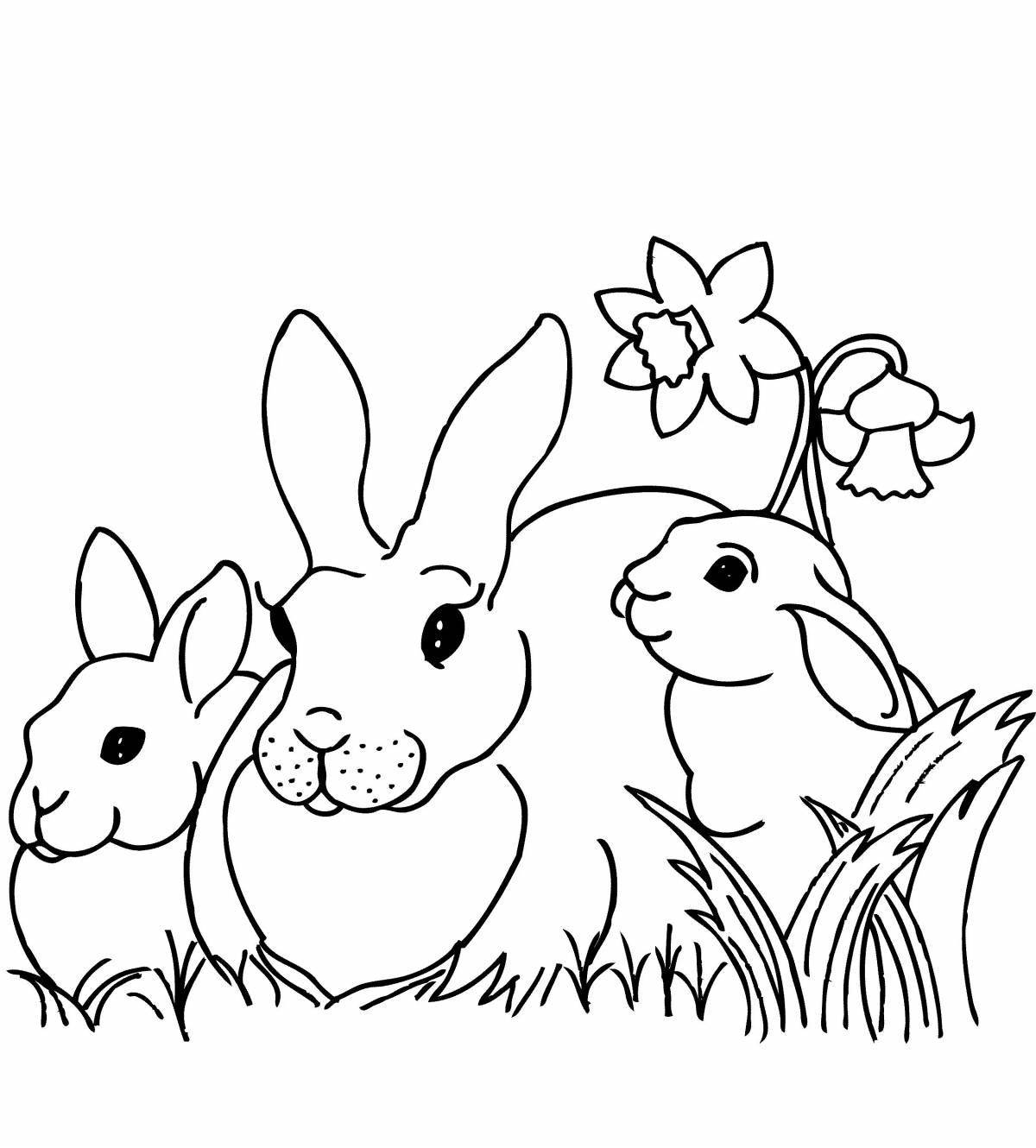 Peaceful hare family
