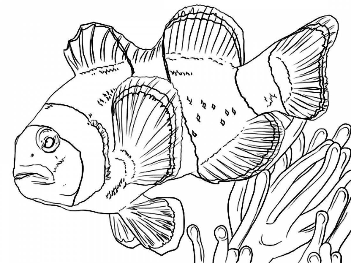 Coloring book funny clownfish