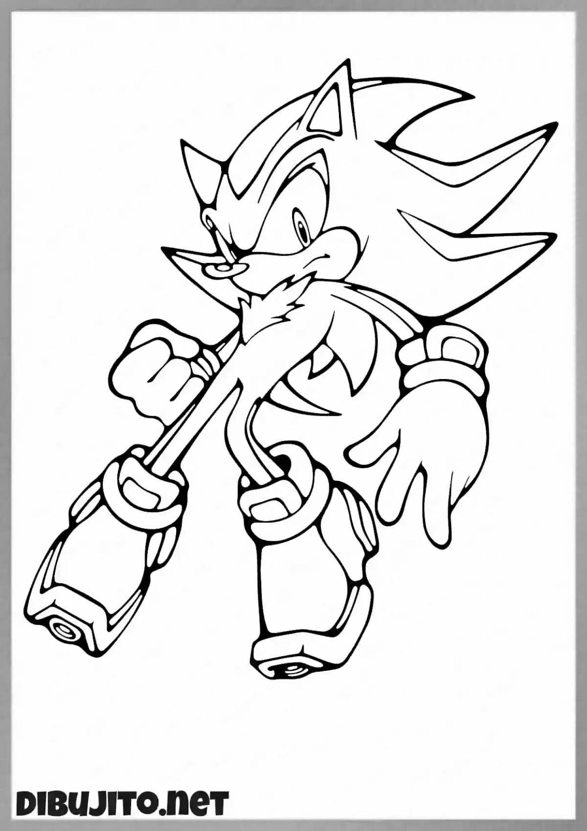 Sonic egzy sweet coloring
