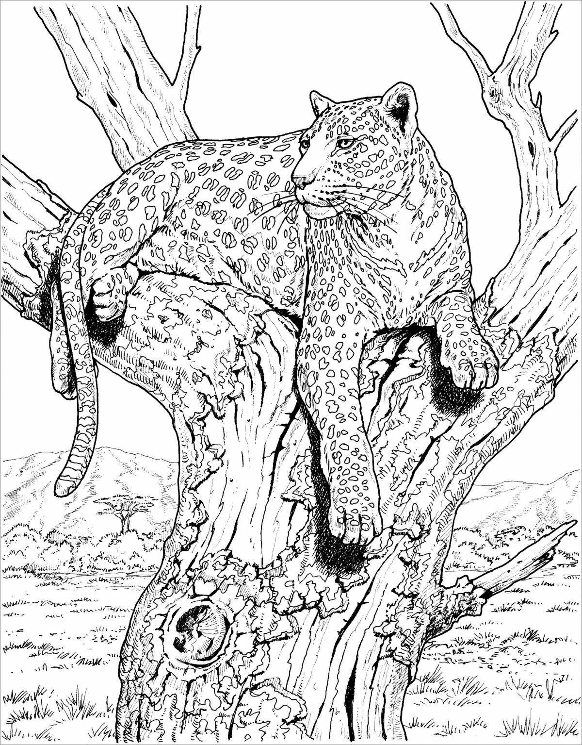 Coloring page elegant Amur leopard