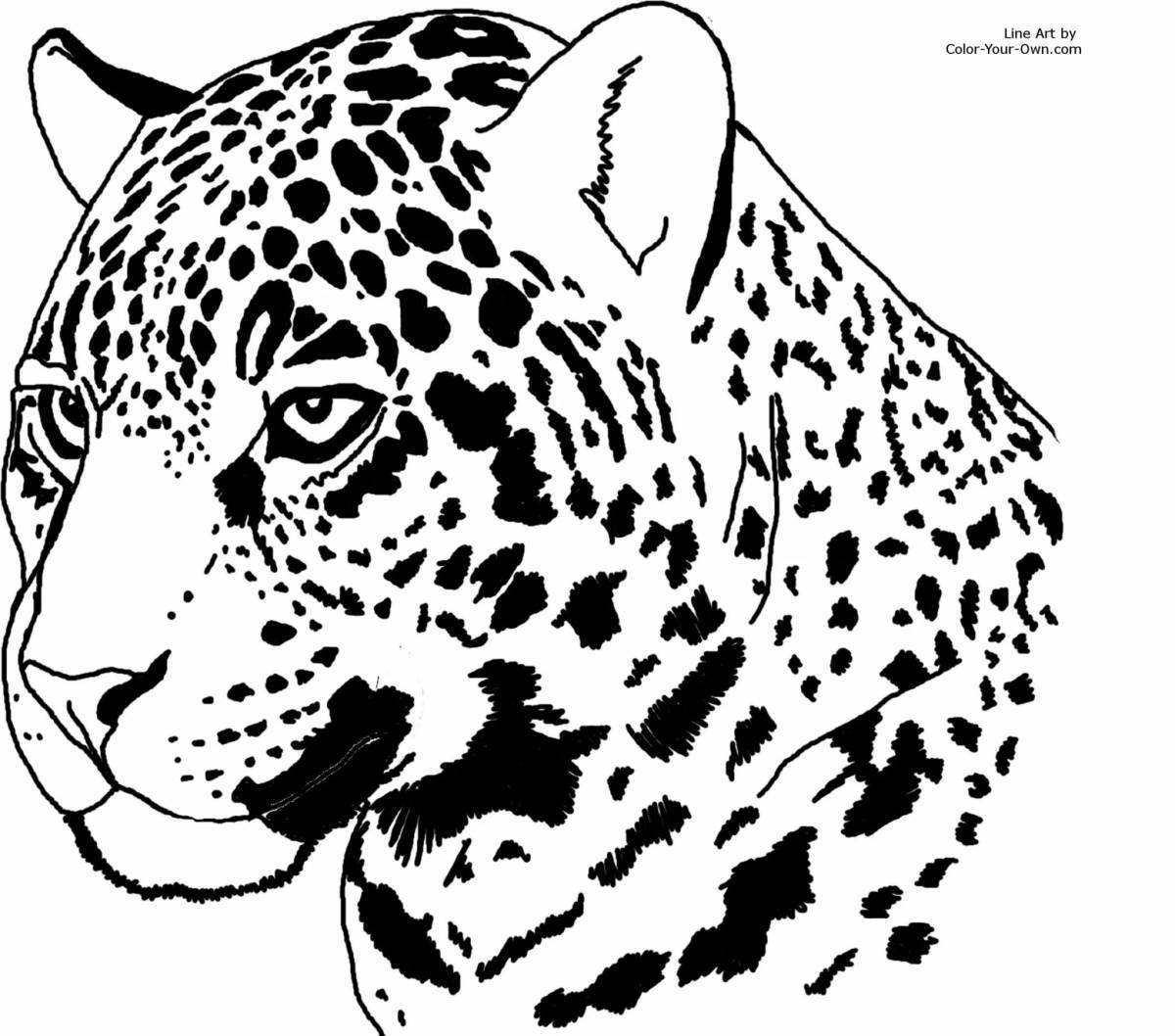 Coloring book regal Amur leopard