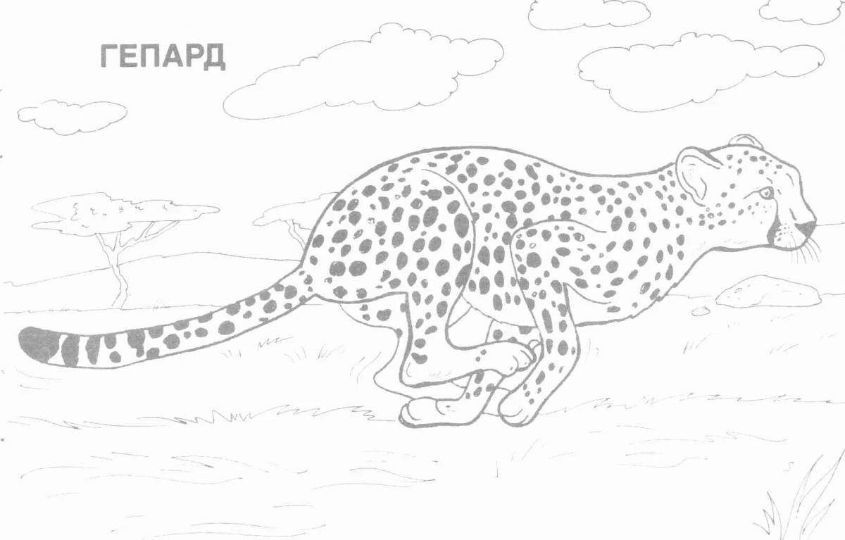 Coloring book spectacular Amur leopard