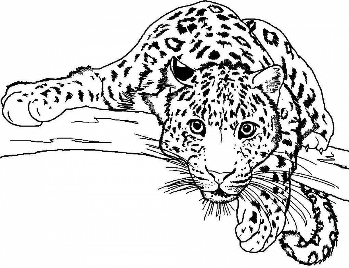 Амурский леопард #1