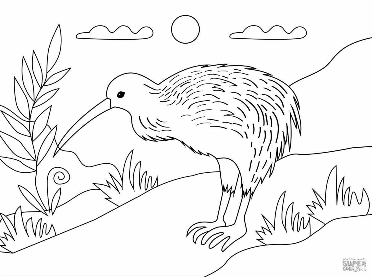 Colorful kiwi bird coloring page
