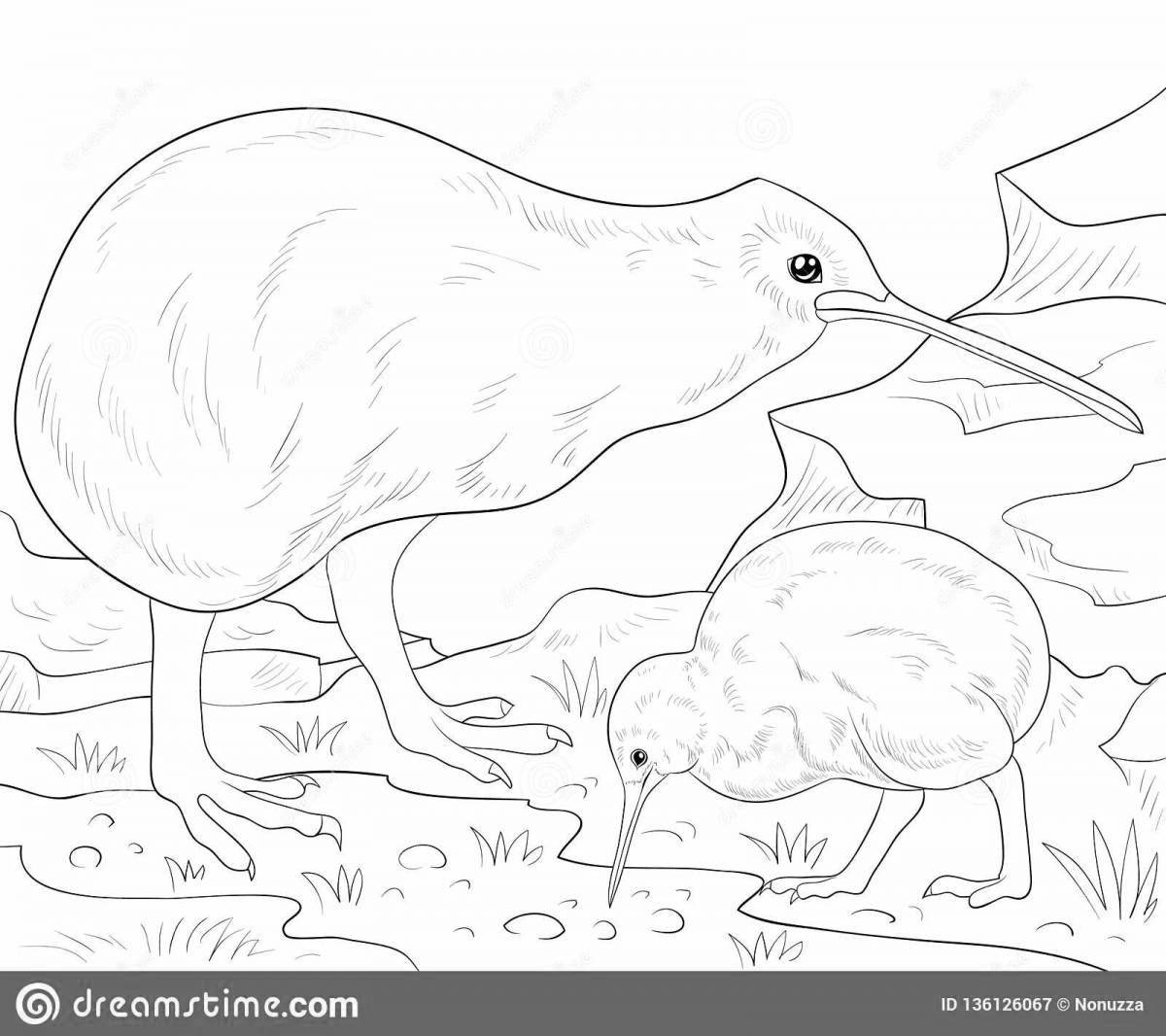 Joyful kiwi bird coloring book
