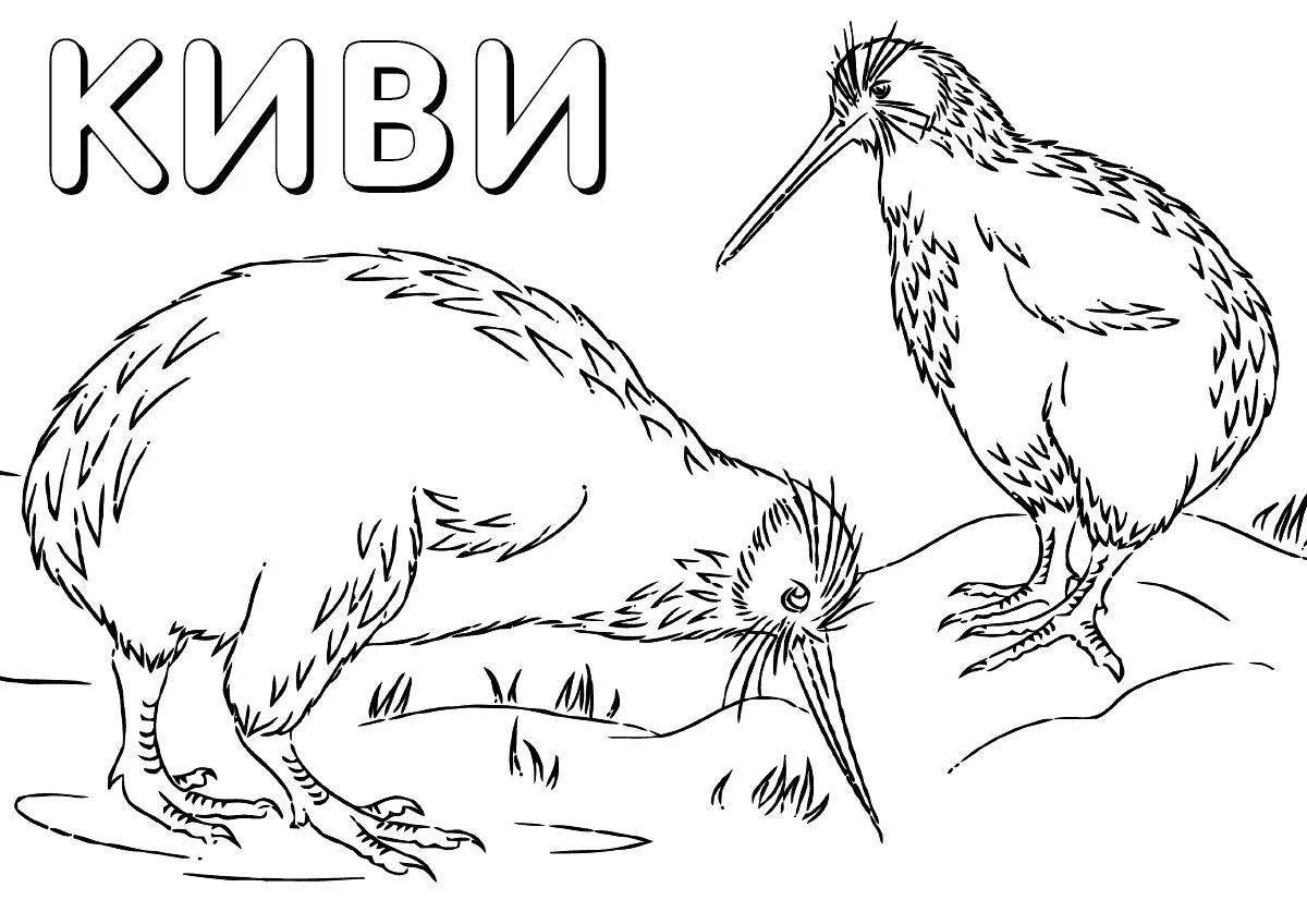 Coloring book bright kiwi bird