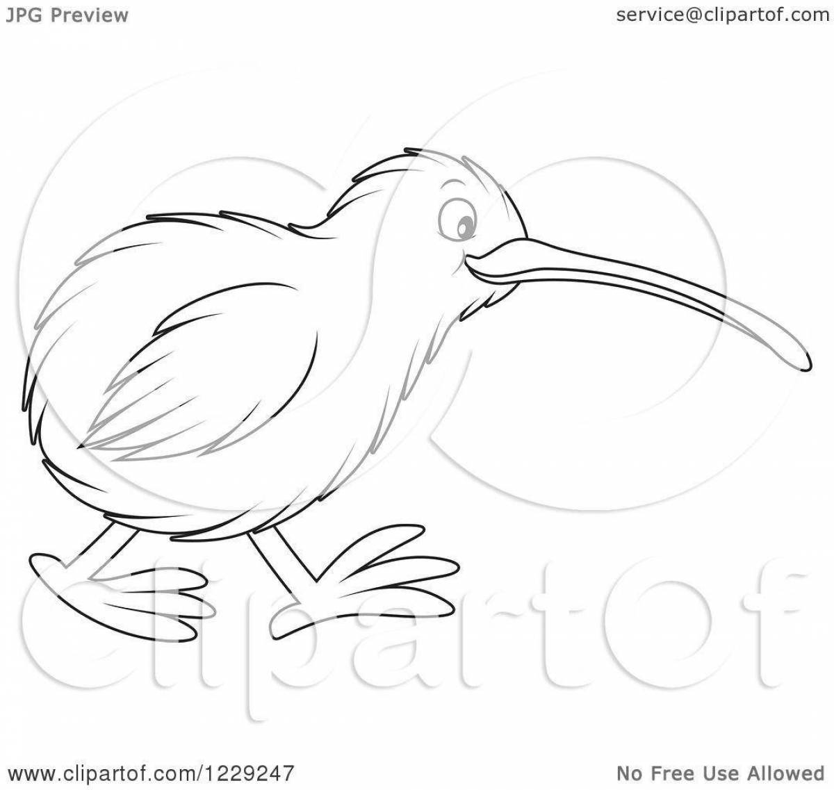 Раскраска живая птица киви