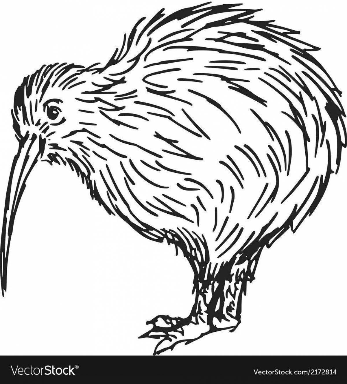 Kiwi bird coloring page with splashes of color