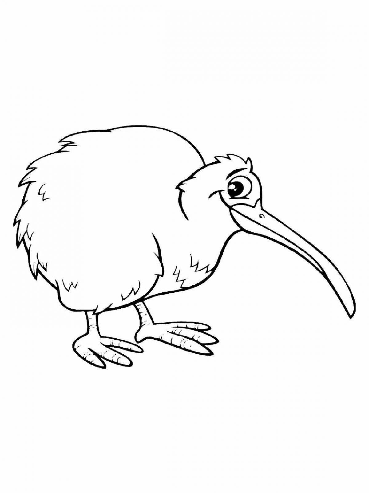 Color live kiwi bird coloring book