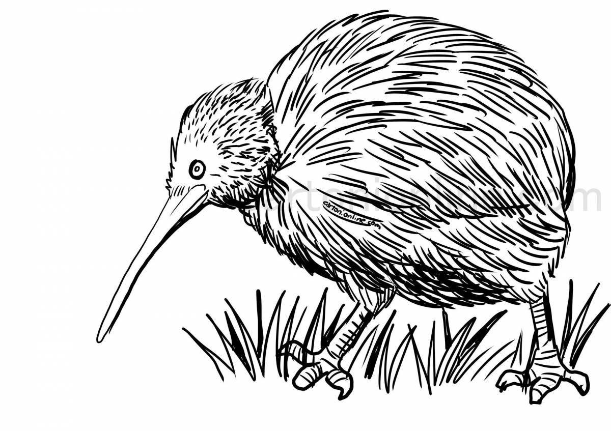 Delightful coloring of the kiwi bird