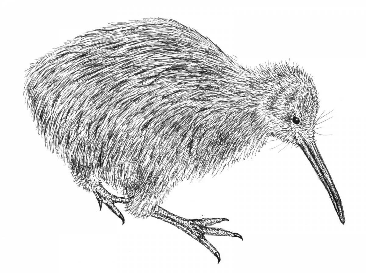 Kiwi bird coloring page with splashes of color