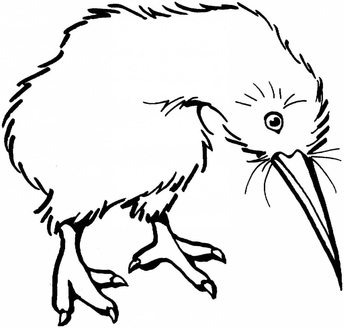 Kiwi bird #2