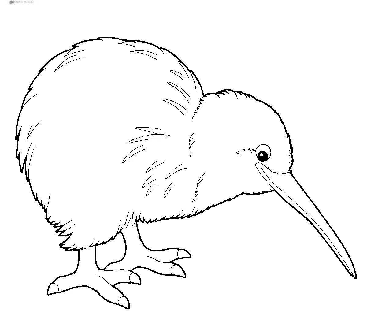 Kiwi bird #3