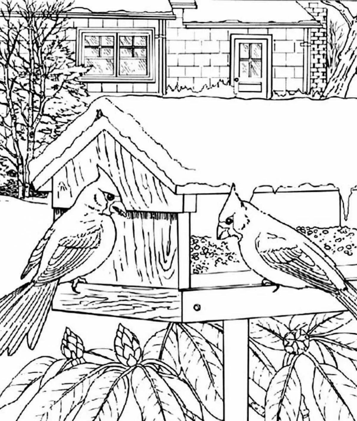 Feed the birds holiday coloring page