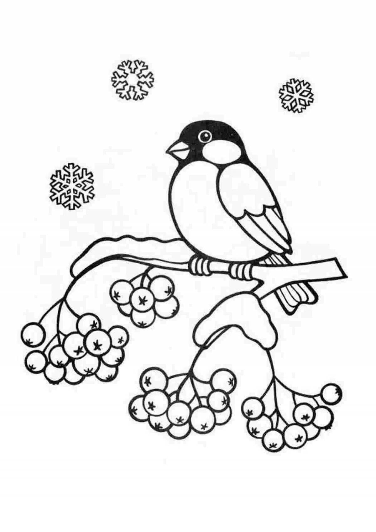 Feed the birds glowing coloring pages