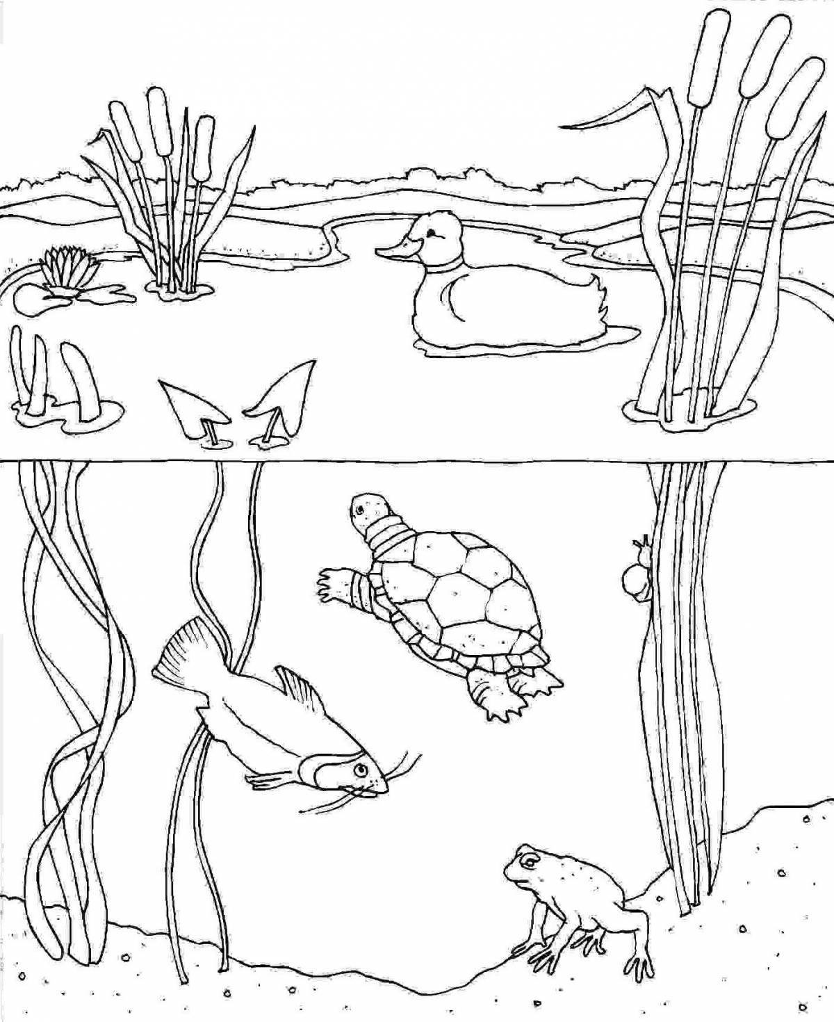 Joyful wildlife coloring book