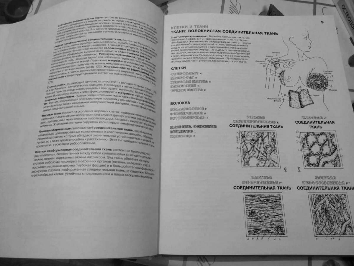 Coloring page inviting atlas of physiology