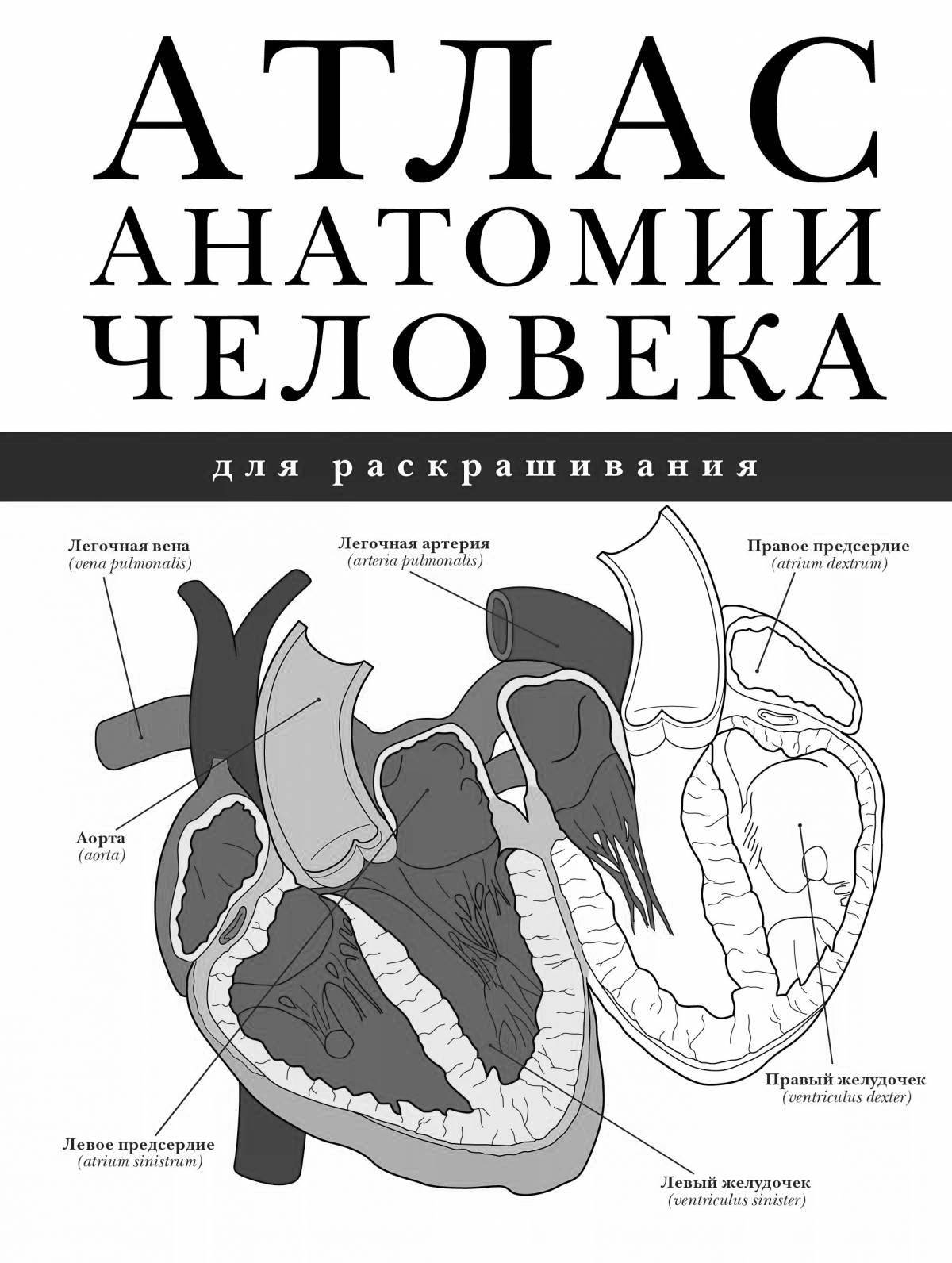 Cute coloring page atlas of physiology