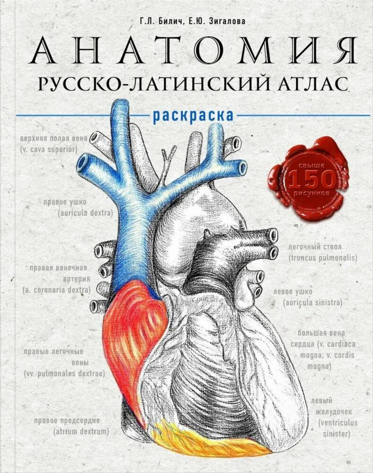 Coloring book atlas of friendly physiology