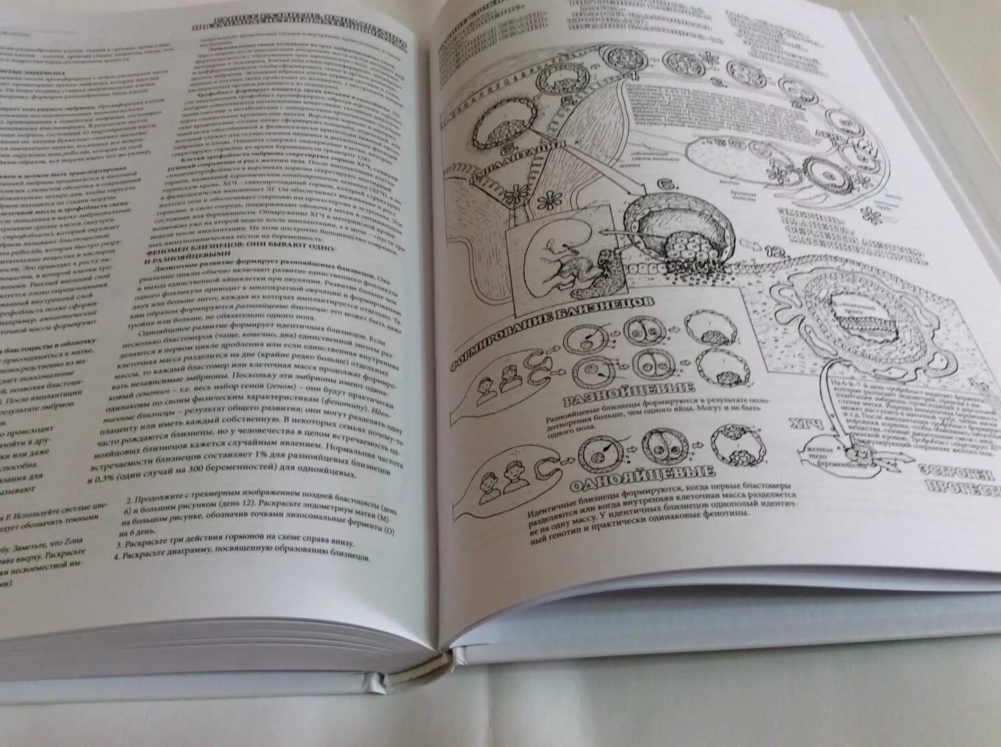 Coloring book atlas of peaceful physiology