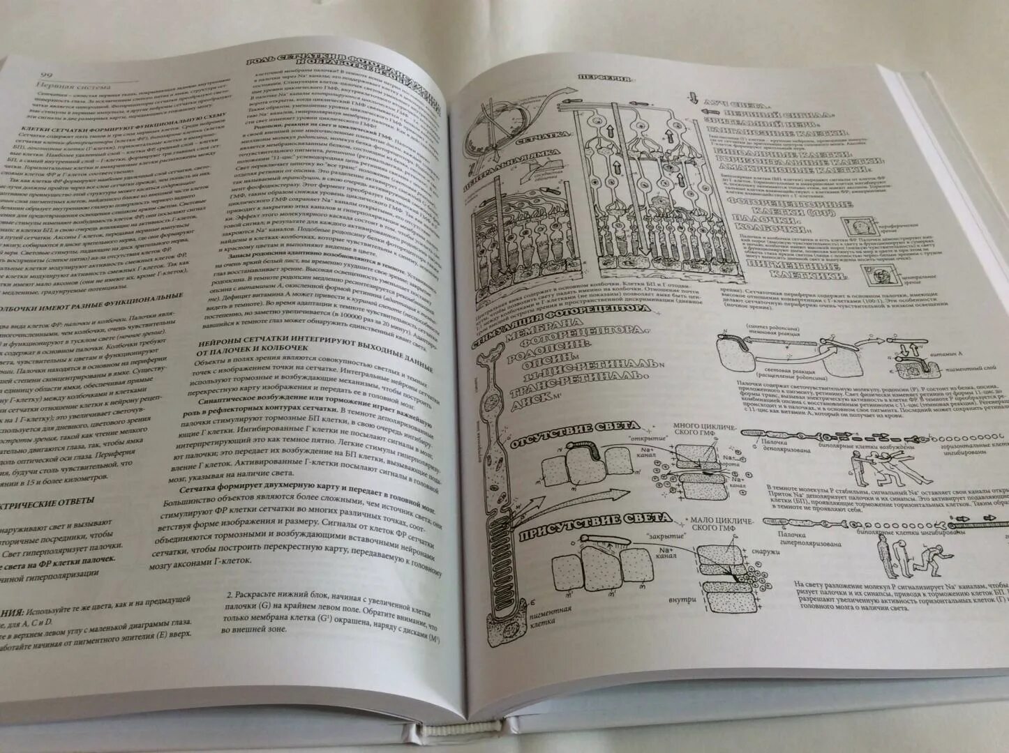Physiology atlas #1