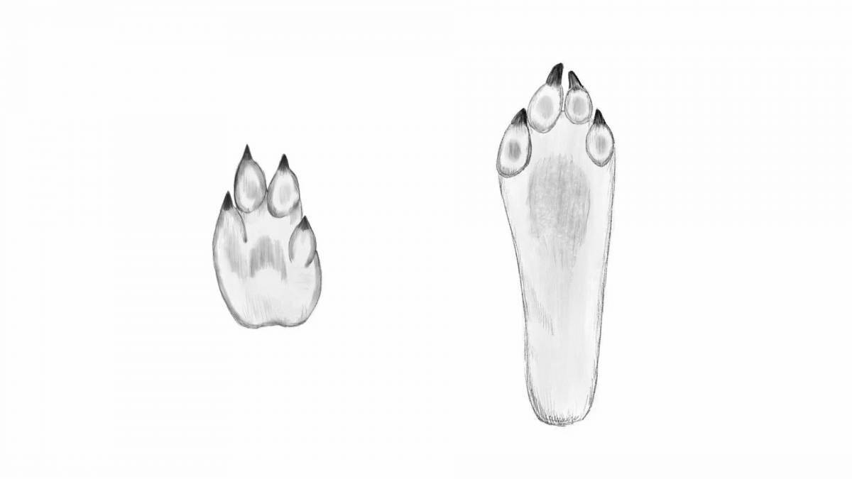 Coloring bright hare footprints