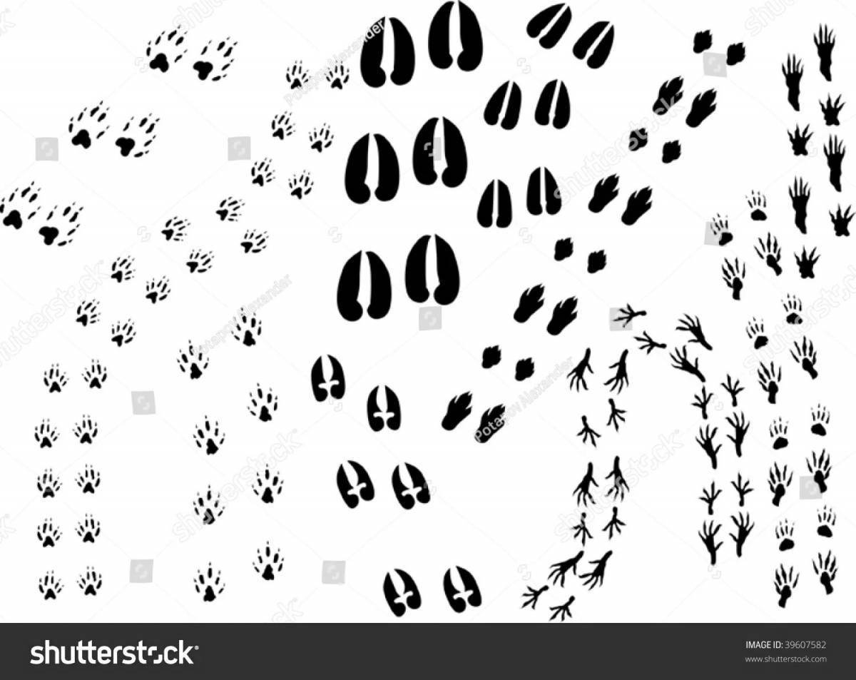 Adorable hare footprints coloring page