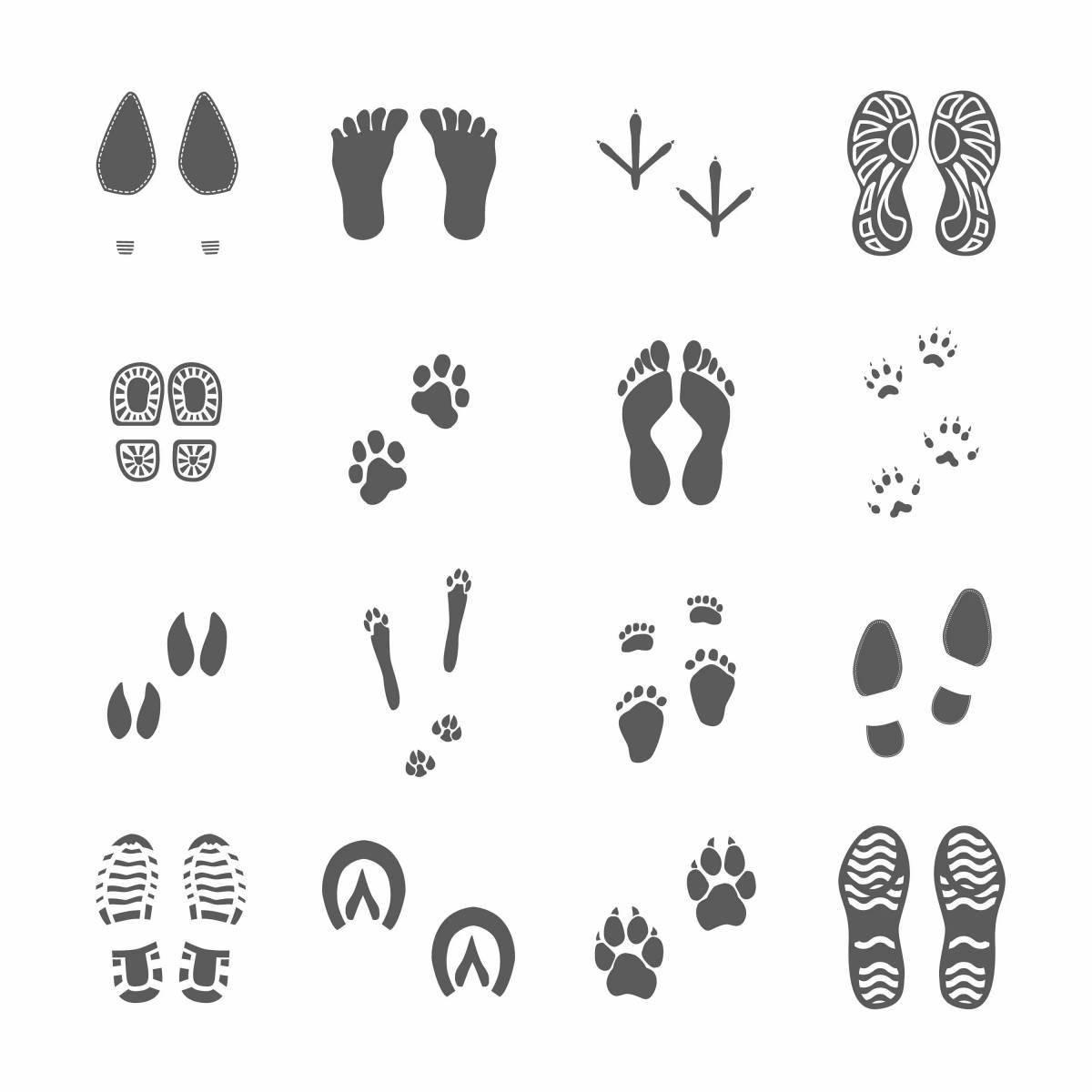 Coloring rabbit footprints