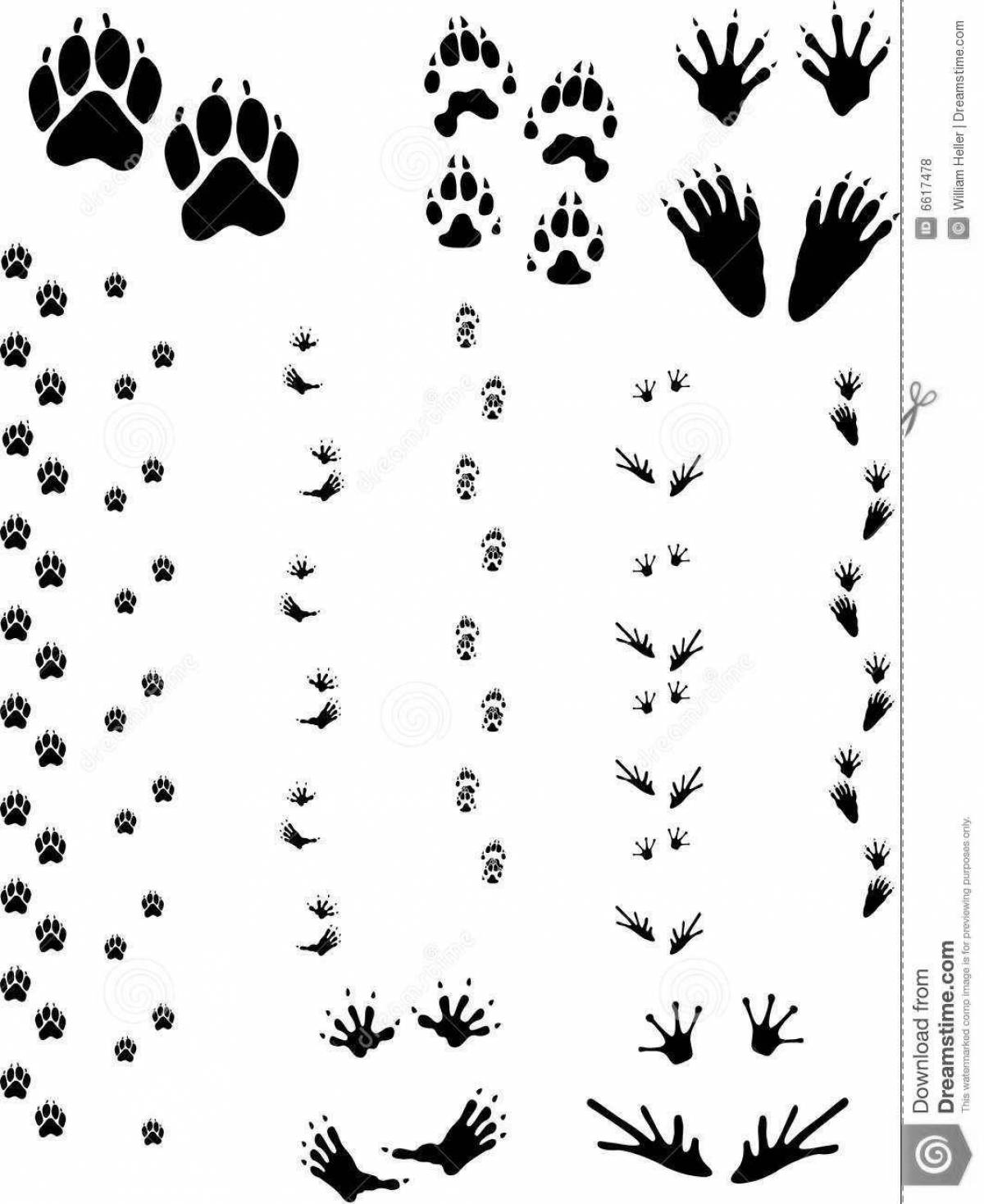 Coloring page magical hare footprints