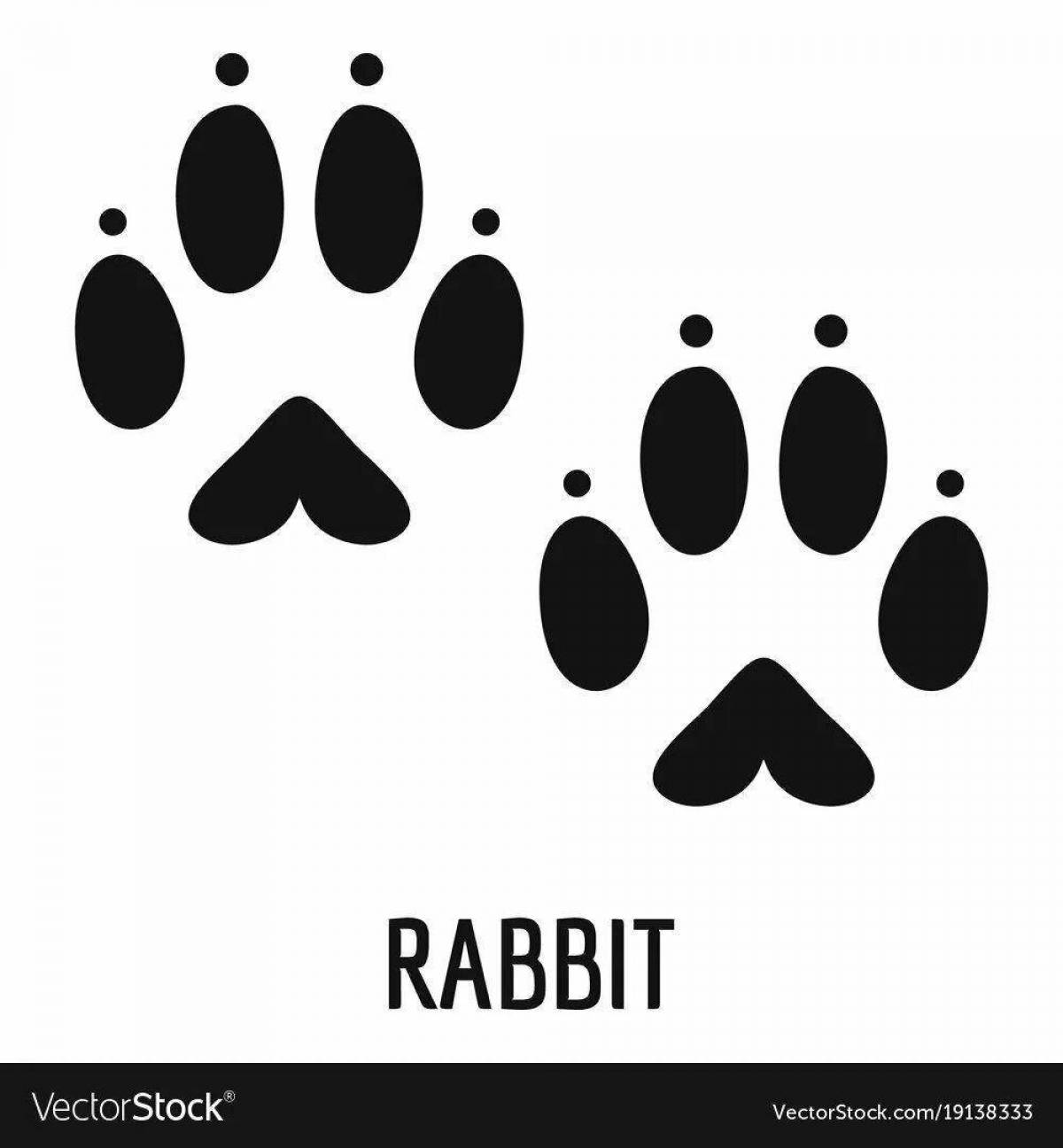 Coloring page nice hare footprints