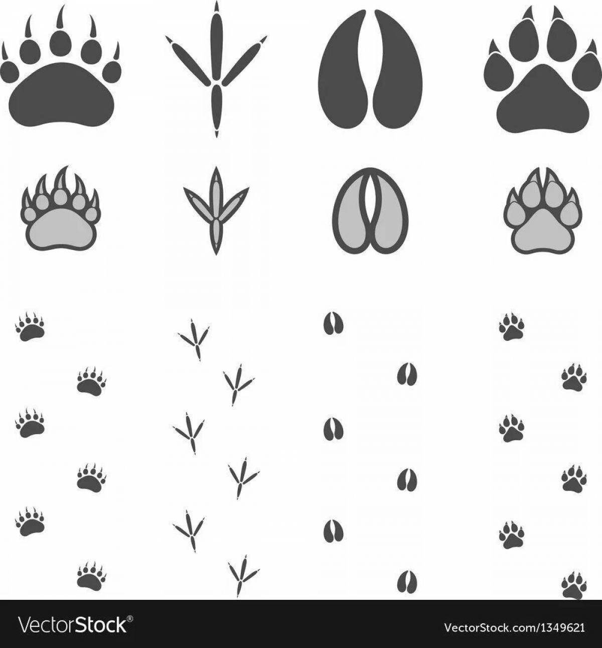 Coloring book footprints of a charming hare