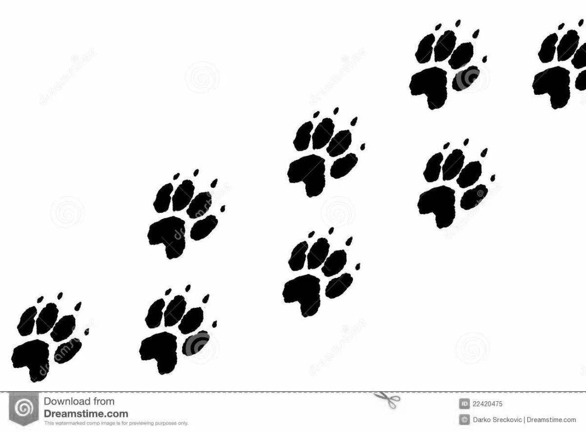 Coloring book exquisite hare footprints