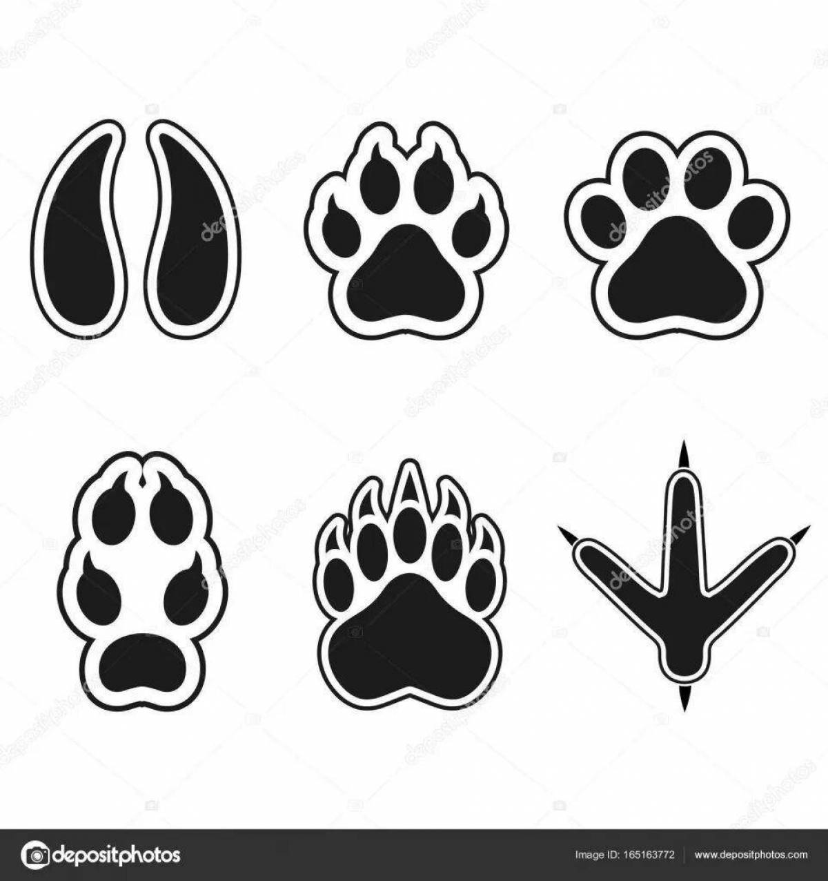 Coloring page elegant hare footprints