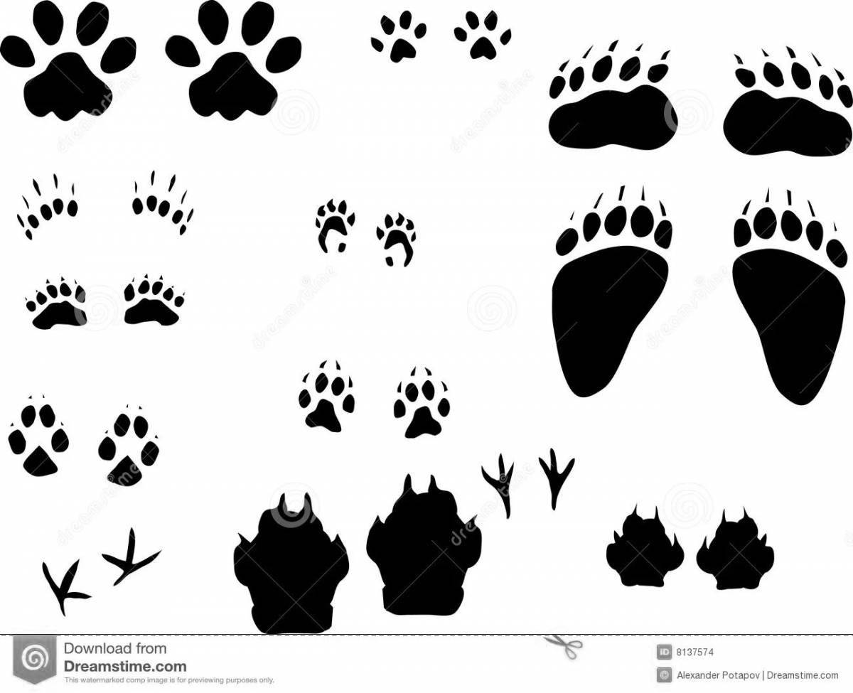 Coloring page dazzling hare footprints