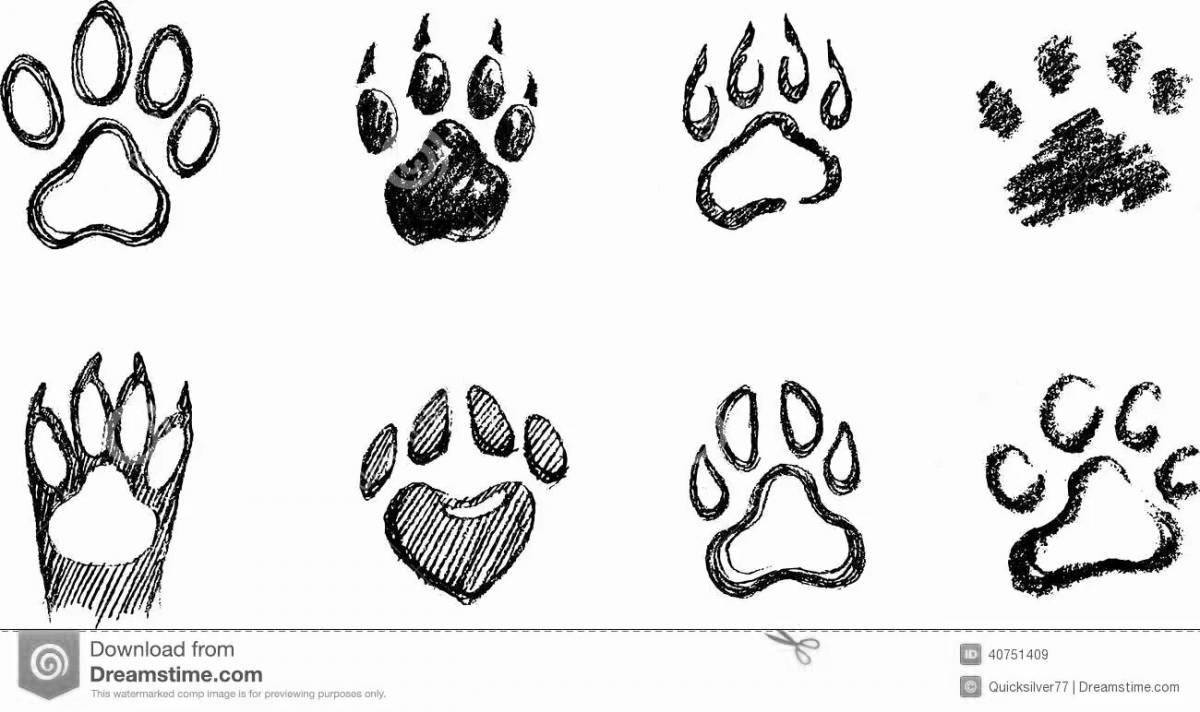 Coloring page wild rabbit footprints