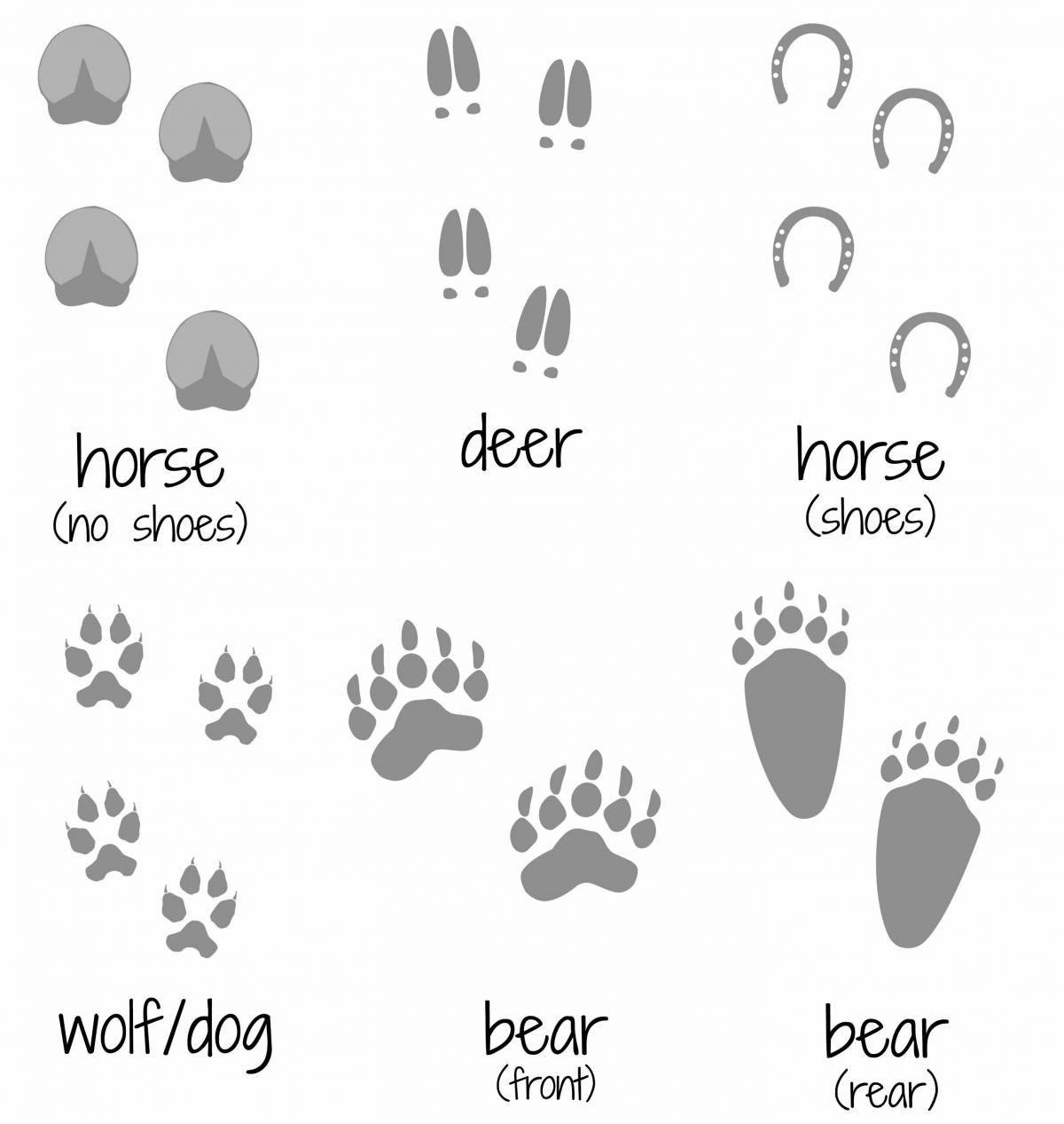 Coloring prints of a cheerful hare