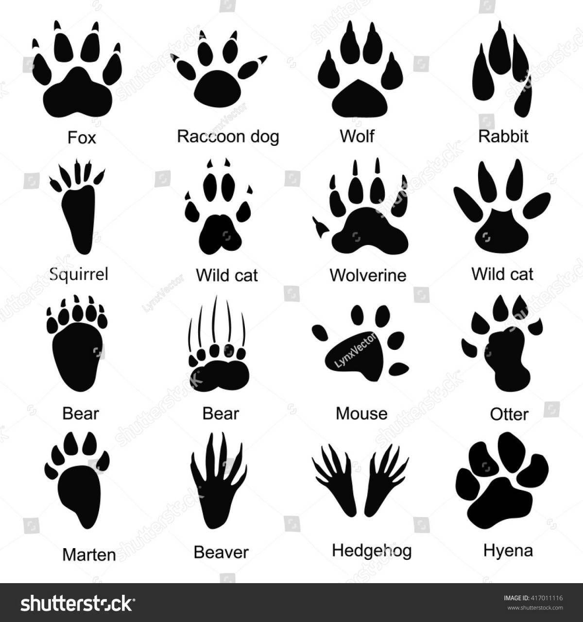 Coloring book footprints of a hare