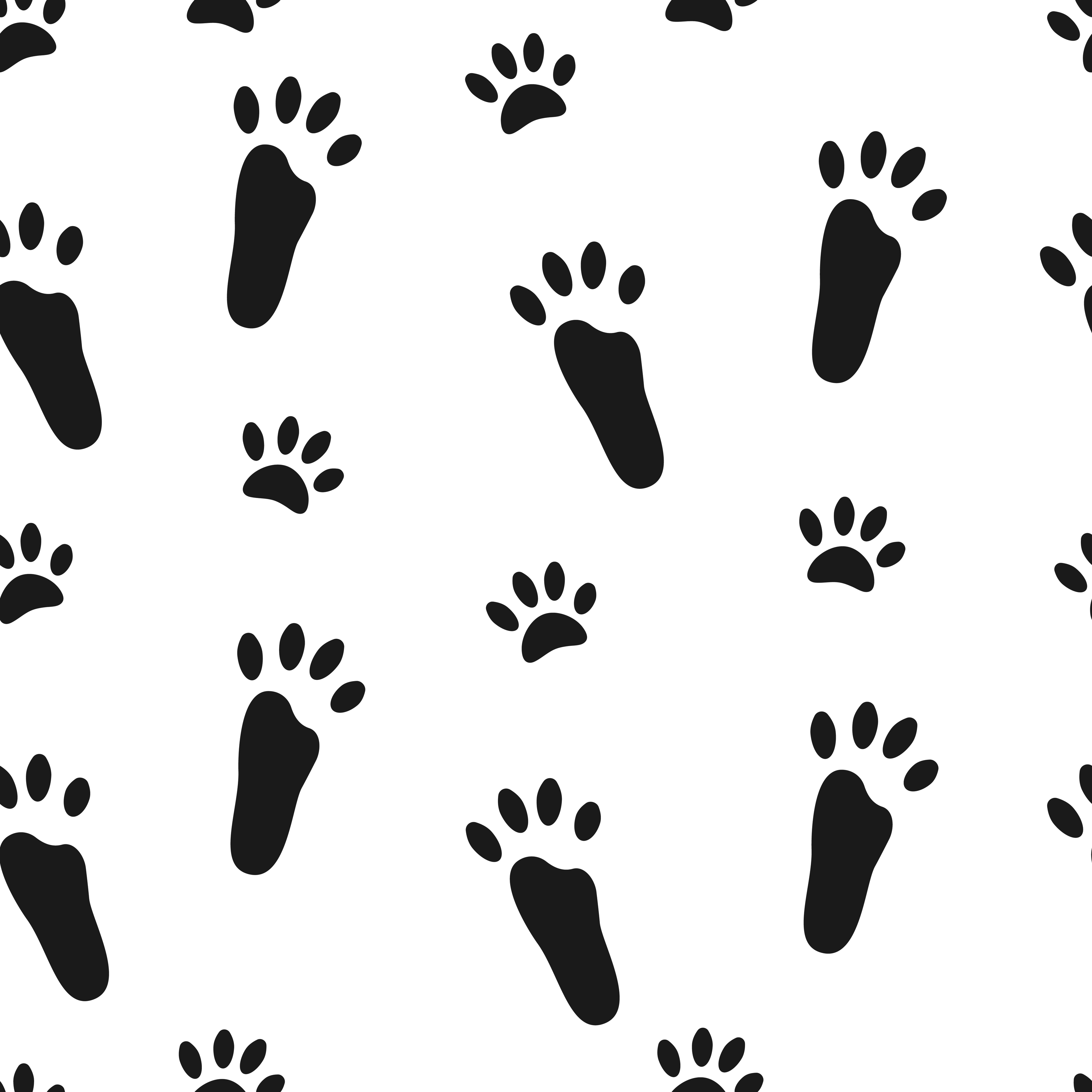 Coloring page impressive hare footprints