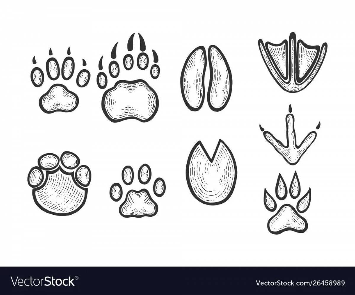 Inspiring coloring book footprints of a hare